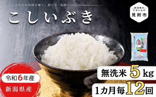 
            無洗米 定期便 5kg×12か月 (計 60kg) 新潟県産 こしいぶき 令和6年産 精米したてをお届け 新潟のど真ん中 見附市
          