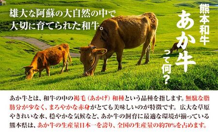 あか牛丼セット 道の駅竜北 熊本県 氷川町 牛丼 国産 熊本県産 あか牛