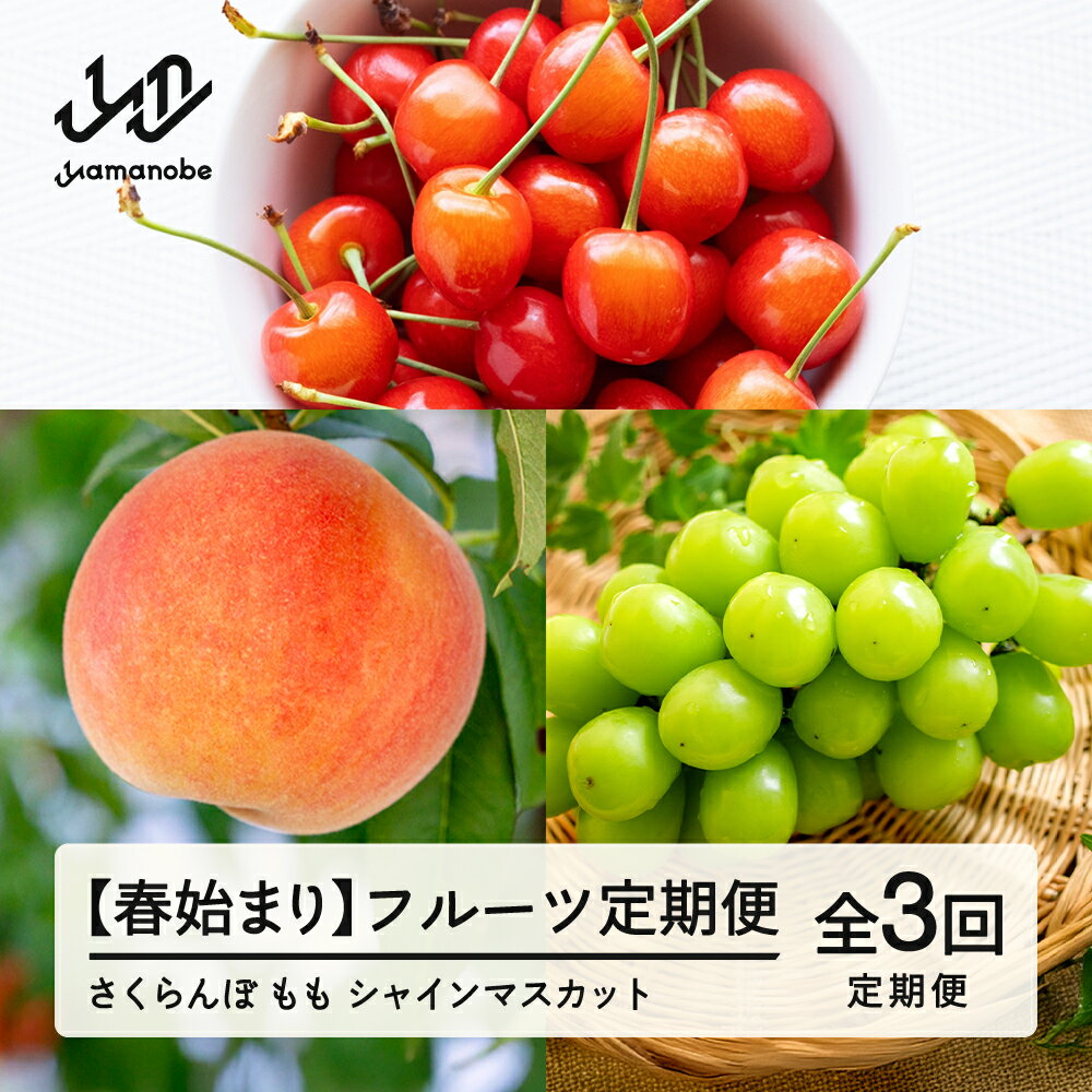 【ふるさと納税】【先行予約】【春始まり】フルーツ定期便 全3回 2026年産 令和8年産 さくらんぼ 佐藤錦 白桃 ぶどう シャインマスカット 果物 送料無料 ns-ft3xx-sp ※沖縄及び離島への配送不可