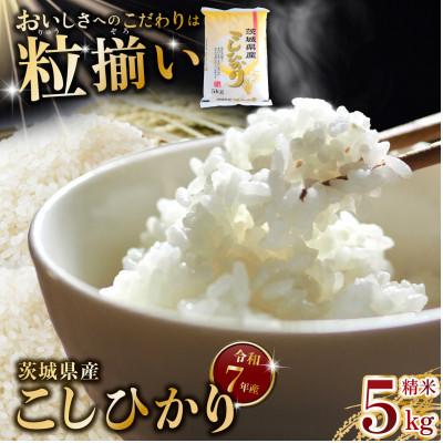 ふるさと納税 下妻市 精米 コシヒカリ 5kg 茨城県下妻市産