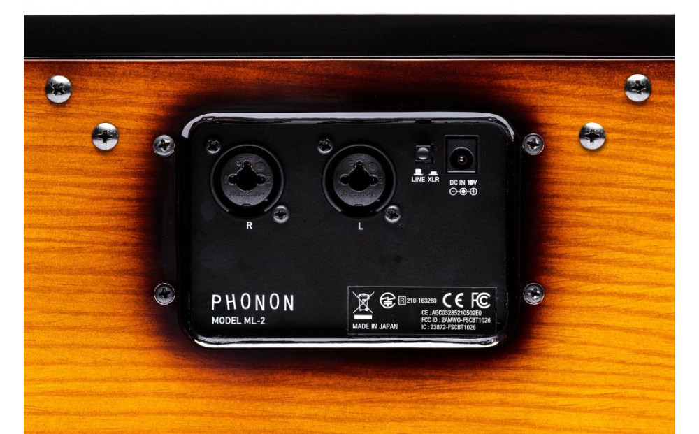 MUSICLIFE ML-2 -sunburst-