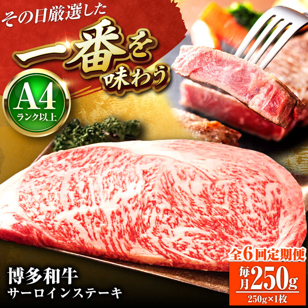 【ふるさと納税】【全6回定期便】【A4〜A5】博多和牛 サーロインステーキ 250g(250g×1枚) 吉富町/株式会社MEAT PLUS[BGAB116]
