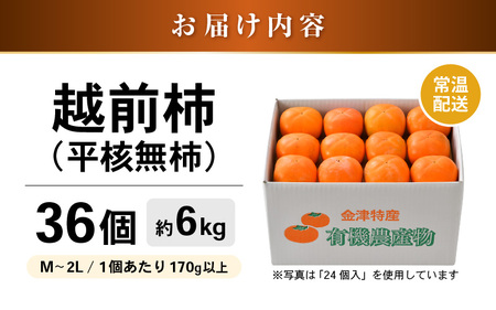 【先行予約】越前柿 36個入 約6kg（M～2L）≪JA受賞歴親子２代≫  ／ 果物 フルーツ 柿 産地直送 期間限定 あわら ※2024年11月上旬より順次発送