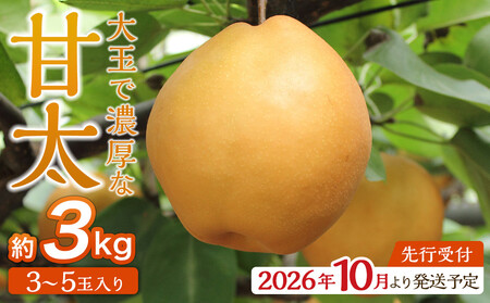 【2026年発送／先行予約】梨 「甘太」約3kg（3～5玉入）10月中旬から順次発送【松崎果樹園】 ｜ 梨 くだもの 角田市