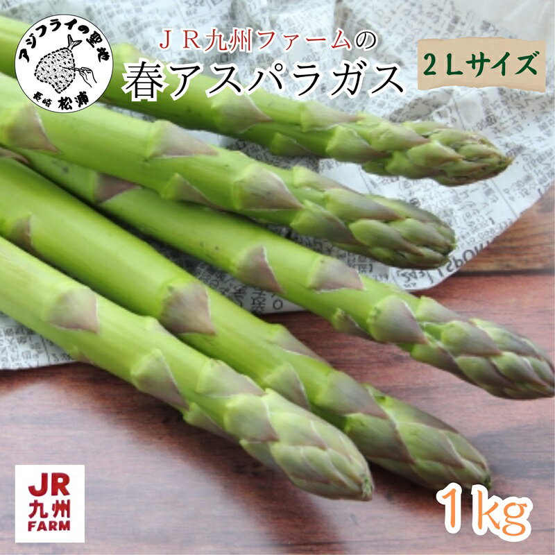 【ふるさと納税】 JR九州ファームの春アスパラガス　2Lサイズ1kg【B2-224】 野菜 新鮮 アスパラガス アスパラ 春アスパラ 甘み