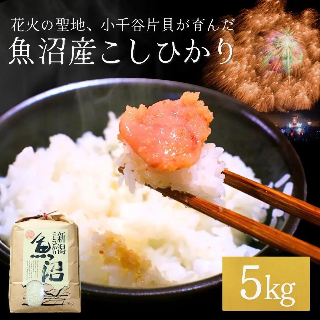 魚沼産 コシヒカリ 5kg コシヒカリ 米萬商店 新潟県 小千谷市