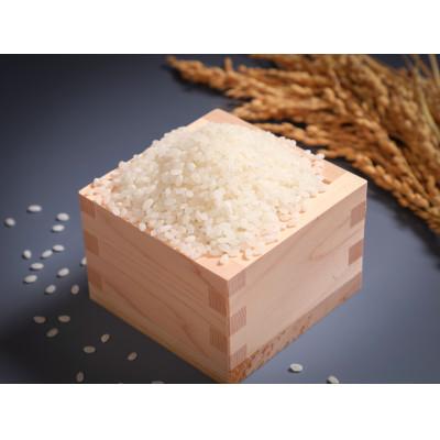 ふるさと納税 美唄市 金王冠 JA新すながわ特別栽培米 精米 ゆめぴりか 5kg 白米 |  | 01