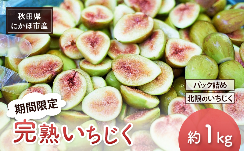 期間限定 秋田県 にかほ市産 完熟いちじく 約1kg （16～18粒前後） パック詰め 北限のいちじく [ 果物 くだもの  いちじく イチジク 無花果 フルーツ ] 