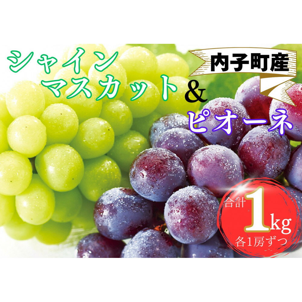 【ふるさと納税】内子町産　シャインマスカット・ピオーネのセット 1.0kg