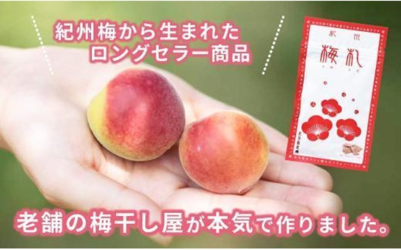 紀州梅札 14g×30袋　梅づくり100年「紀州ほそ川」の梅お菓子　【hoso005A】