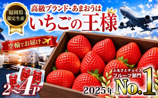 福岡産 あまおう いちご 270g×4パック 1080g