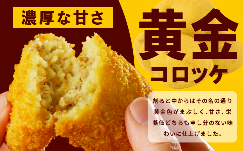 こだわりの国産素材 手作りコロッケ 合計10個【黄金 無添加 国産 惣菜 おやつ おつまみ お弁当 三代目コロッケ】 G3436
