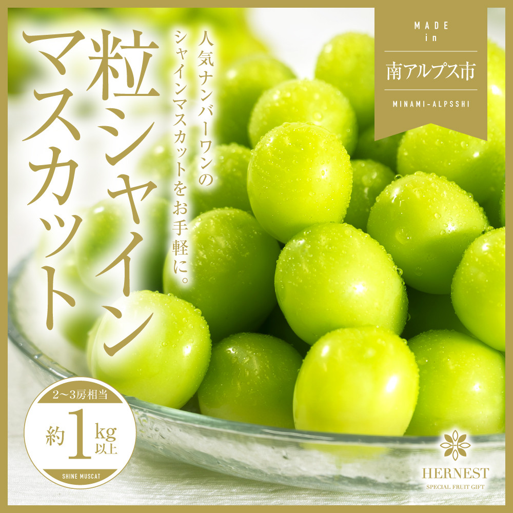 
            ＜2026年発送分先行予約＞山梨県南アルプス市産シャインマスカット　粒　1ｋｇ ALPAH044
          