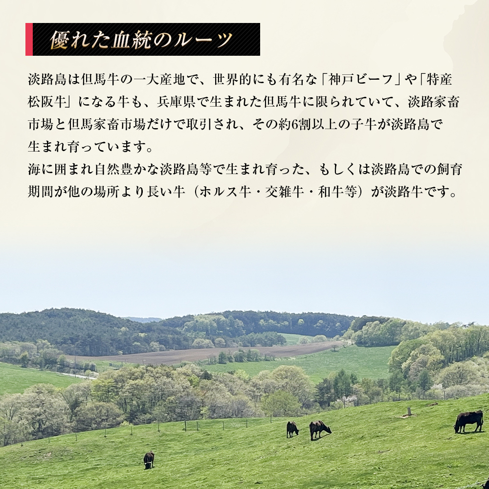 淡路牛 ロース（しゃぶしゃぶ用） １ｋｇ_イメージ3