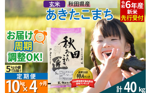 
【玄米】＜令和6年産 新米予約＞ 《定期便4ヶ月》秋田県産 あきたこまち 10kg (5kg×2袋)×4回 10キロ お米【2024年秋 収穫後に順次発送開始】
