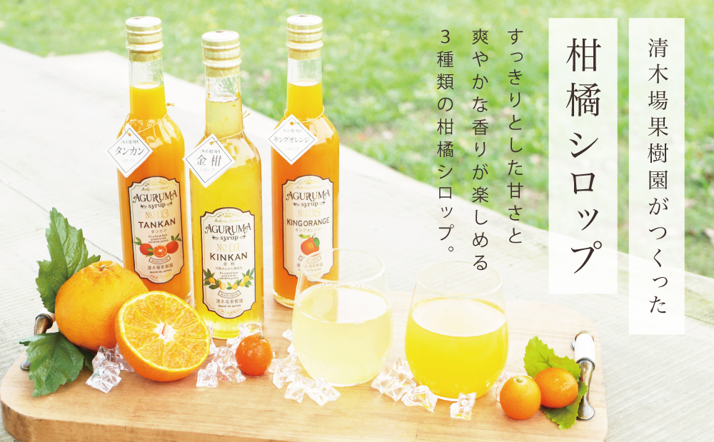 柑橘シロップ 3本セット＜金柑・タンカン・キングオレンジ＞［3種類］きんかん キンカン たんかん 不知火 ドリンク ジュース 炭酸割り ハイボール カクテル かき氷 ヨーグルト アイス パンケーキ ギフト 贈答 清木場果樹園 鹿児島県 南さつま市