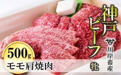 【川岸畜産】神戸ビーフ・牝　モモ肩焼肉用500g　（22-20）