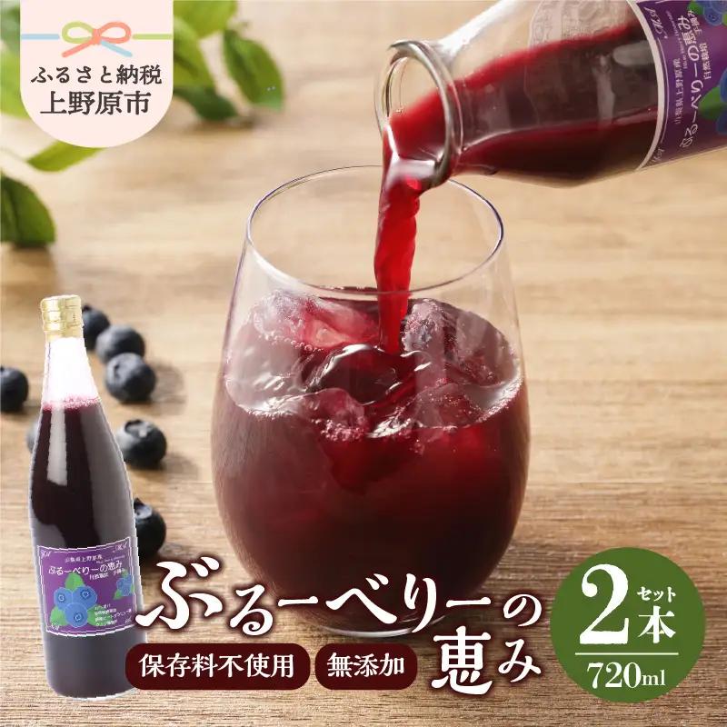 無添加 ブルーベリー ジュース セット ギフト お歳暮 無添加ブルーベリージュース「ブルーベリーの恵み」 720ml×2本 プレゼント ギフト 贈り物 送料無料 山梨県 上野原市