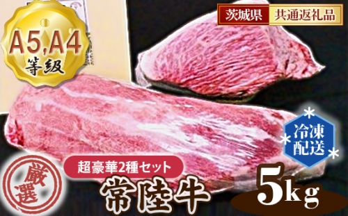No.168 常陸牛 厳選！超豪華2種セット約5kg（A5・A4等級）＜茨城県共通返礼品＞ ／ 牛肉 黒毛和牛 高級 茨城県