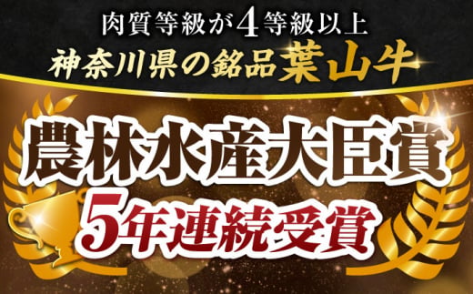 【全3回定期便】葉山牛 切り落とし300g×2パック 国産牛 牛肉 切り落とし 高級和牛 冷凍 黒毛和牛 国産 希少品種 小分け 横須賀 すき焼き すきやき ぎゅうにく きりおとし 大容量 神奈川銘品