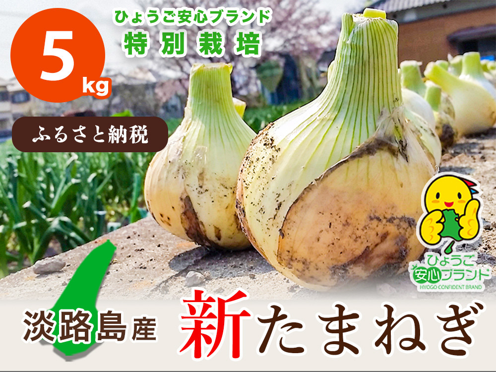 
【あさひサンファーム】兵庫県認証★特別栽培★淡路島新たまねぎ【5㎏】（配送3月上旬～）
