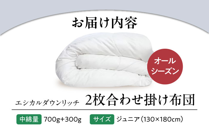洗える 人工羽毛布団 2枚合わせ 掛け布団 ジュニア エシカルダウンリッチ 広島県福山市/イシケン株式会社 2枚組 羽毛布団 羽毛ふとん 掛けふとん 日本製 オールシーズン 掛布団 寝具 アレルギー対