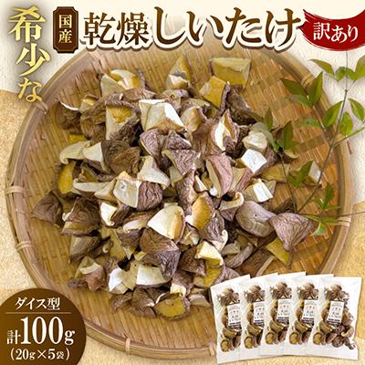 ふるさと納税 大垣市 【訳あり】希少な国産乾燥しいたけ ダイス型 計100g(20g×5袋)