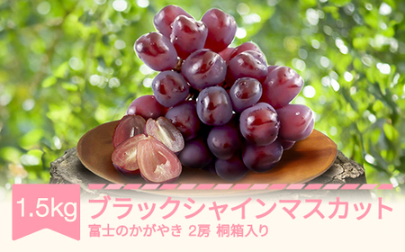 【先行予約】ブラックシャインマスカット ぶどう 約1.5kg 2房 令和7年産 2025年産 果物 ※沖縄・離島への配送不可 mm-bufkx1500