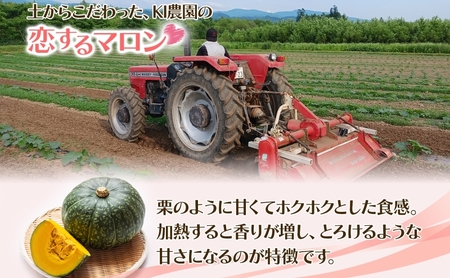 北海道 美深産 とろける甘さの「恋するマロン」冷凍 カットかぼちゃ 3kg(500g×6袋)農の彩北おんねない［KI農園］【 野菜 南瓜 かぼちゃ 栗かぼちゃ カボチャ 惣菜 おかず 】