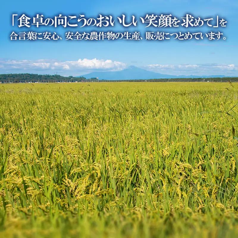 【令和8年産】雪若丸 玄米5kg（5kg×1袋）K-827 馬町さくらファーム