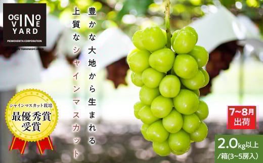 【2025年先行予約_7月上旬～発送】山梨県産早期出荷シャインマスカット ２．０ｋｇ以上／箱　３～５房入 ALPAK012｜おすすめ 人気 山梨県 産地直送 フルーツ 果物 くだもの ブドウ ぶどう シャイン マスカット くだもの 国産 葡萄 新鮮