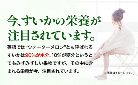 和歌山県産 小玉すいか ひとりじめ7(セブン) 2玉入り 3.5kg以上《2024年6月下旬-8月中旬頃出荷》 和歌山県 日高川町 スイカ 西瓜 すいか