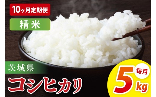 【10ヶ月定期便】茨城県産コシヒカリ　精米　5kg｜お米 米 ごはん 阿見町 茨城県 茨城県産 茨城県産米（85-98）
