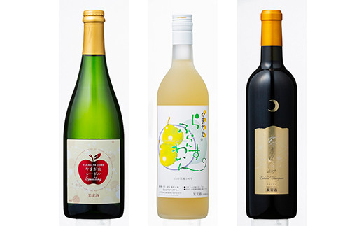 FYN6-111 月山山麓ワイン 飲み比べ6本セット（赤・白・ロゼ・スパークリング）ミディアムボディ ライドボディ 山形県 西川町