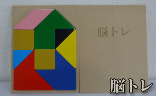脳トレ ／パズル ブロック 木製パズル 色 形 認識力 組み合わせ 22cm×17cm 22.5cm×30cm 玩具 知育玩具 数量限定 50セット 常温 原田化粧合板 No.904