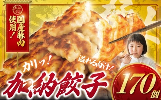 ぎょうざ 餃子  170個 肉汁 旨い パック 豚肉 ぶた 野菜 焼き餃子 水餃子  国産豚  豚肉 野菜 ギョーザ gyouza 冷凍餃子 ぶたにく 生餃子 冷凍 ご飯 おかず 夕食 おつまみ 晩酌 簡単調理 時短 簡易包装 手作り餃子 冷凍 冷凍食品 中華 加納食堂 神奈川 湘南 藤沢