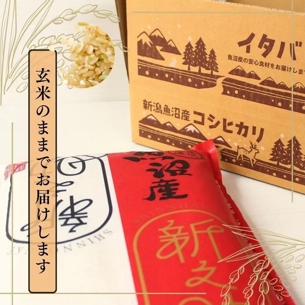 中魚沼産「新之助(しんのすけ)」玄米 5kg 有限会社イタバ |津南町 令和7年