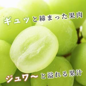 ぶどう 志賀高原 シャインマスカット 3～5房 2kg ぶどう