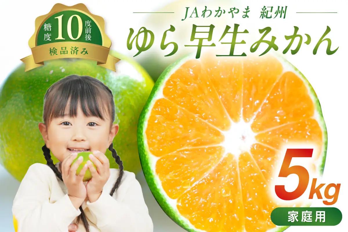 みかん JAわかやま 紀州のゆら早生みかん（家庭用）5kg【FN1306】