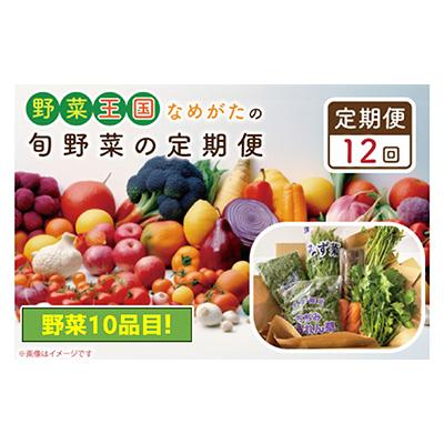 ふるさと納税 行方市 【毎月定期便】野菜王国なめがたの旬野菜の定期便全12回　CU-130