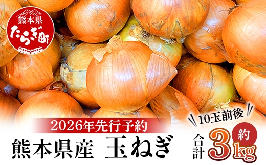 【先行予約】熊本県産 玉ねぎ 3kg (10玉前後) ≪2025年4月下旬から順次発送≫ 玉葱 野菜 数量限定 JAS たまねぎ オニオン 甘い ハンバーグ 肉じゃが 065-0635