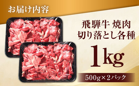 【訳あり】 飛騨牛 焼肉 切り落とし 1kg(500g×2パック) 多治見市 / 飛騨高山ミート MZ036 冷凍 真空パック ブランド和牛[THP027]