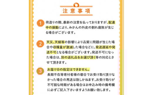 【2025年2月より発送】 高知県産 土佐文旦 贈答用 10kg 優品 時期 土佐 文旦 ぶんたん ブンタン 人気 旬 柑橘 フルーツ 果物 国産 ブランド ビタミン 生産者 産地 高知 須崎 