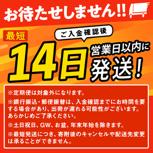 ＜先行予約！2025年10月以降順次発送予定＞≪令和7年産 新米≫ 特別栽培米 つや姫 10kg (5kg×2袋)  登米市産 お米 おこめ 米 コメ 白米 ご飯 ごはん おにぎり お弁当 【登米ライ