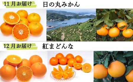 【先行予約】 えひめ かんきつ定期便 （全6回・11月～４月お届け）　かんきつ 柑橘 みかん 定期便 温州みかん 紅まどんな 伊予柑 甘平 せとか 河内晩柑 愛媛県