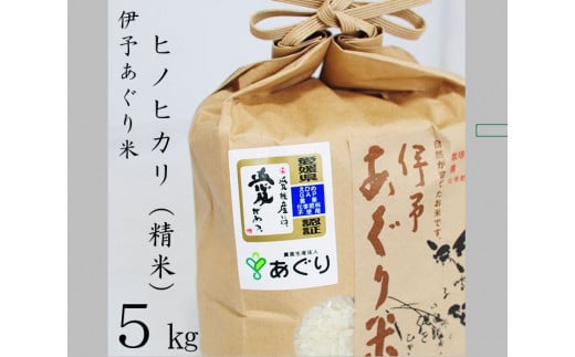 ★令和５年産をお届けします！！★農薬・化学肥料不使用　伊予あぐり米「ヒノヒカリ」（精米５ｋｇ）