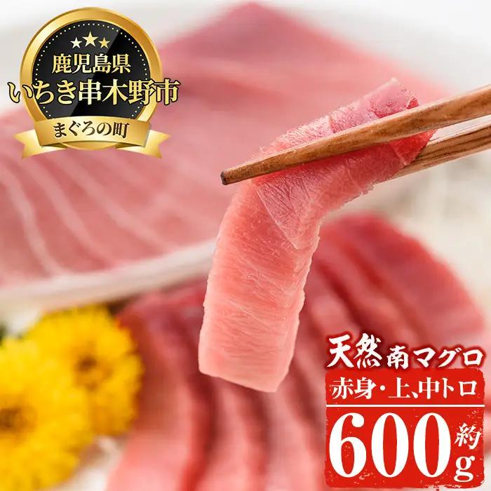 南まぐろ 中トロセット 約600g（上トロ、中トロ、赤身）まぐろ【00-019-02】