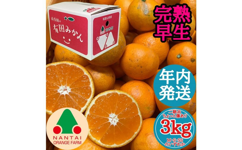 年内発送 ちょっと 傷あり 完熟早生 有田みかん M ～ SS サイズ 3kg 和歌山 南泰園 みかん BS656