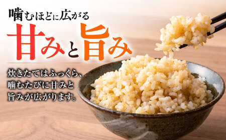 【令和7年度】 くまさんの輝き 玄米 10kg (1袋) 玄米[AYCC002]