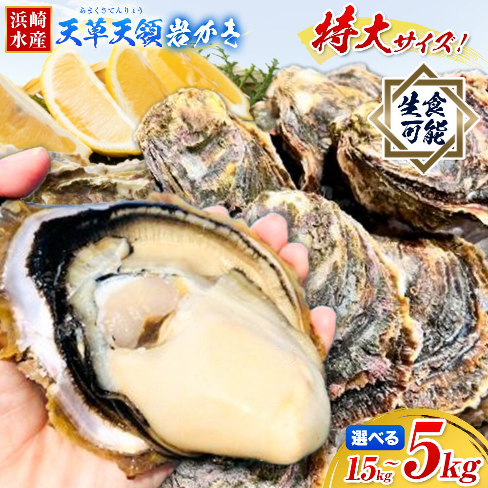 【ふるさと納税】ふるさと納税総合ランキング入賞 牡蠣 カキ 天草天領 岩かき 特大 選べる 容量 約 1.5kg 2.5kg 5kg 《4月上旬-7月末頃出荷》海鮮 海産物 シーフード 魚貝類 かき 岩かき 岩牡蠣 夏牡蠣 生食用 生もの 濃厚 熊本県 苓北町 浜崎水産【配送不可地域あり】